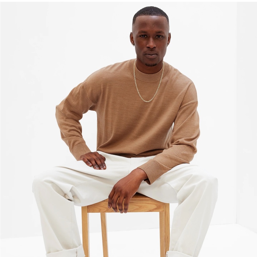 NWT Gap Men’s Merino Mockneck Sweater
